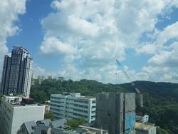 Hillview Regency (D23), Condominium #148569332